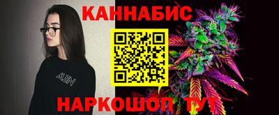 дмт Бийск