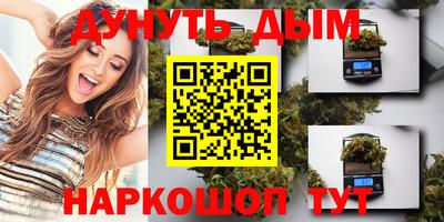 дмт Бийск